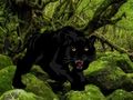 Laro Tumakas mula sa Black Panther Forest  online