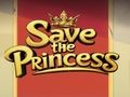 Laro Iligtas ang Prinsesa  online
