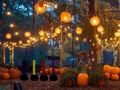Laro Halloween Lovely Garden Escape online