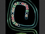 Laro TD Neon Shoot online