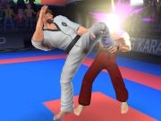 Laro Karate Fighter online