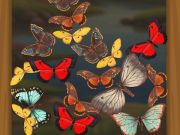 Laro Pagsamahin si Butterfly  online