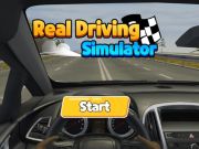 Laro Tunay na Simulator sa Pagmamaneho  online