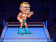 Laro Wrestle Bros  online