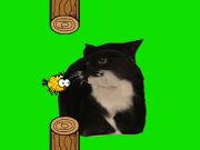 Laro Flappy Bird Spinning Oia Oia Cat online