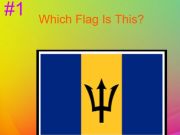 Laro 30s Hard Flag Quiz  online