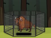 Laro Iligtas ang bison mula sa hawla  online