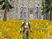 Laro Ax ng mga Ancients Dwarven Fury  online