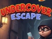 Laro Undercover Escape  online