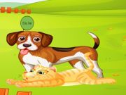 Laro Bunny Key Quest  online