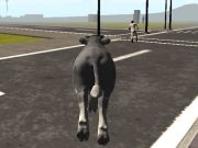 Laro Crazy Bull City  online
