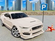 Laro Car Simulator 3d  online