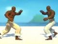 Laro Capoeira Fighter  online