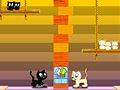 Laro Kocani cats online