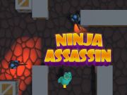 Laro Ninja Assassin online