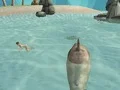 Laro Shark Simulator Beach Killer online
