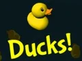Laro Ducks! online