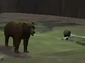 Laro Bear Den online