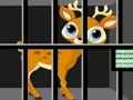 Laro Animals Rescue online
