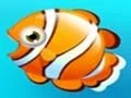 Laro Fish Resort online