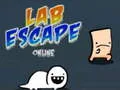 Laro Lab Escape Online online