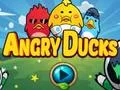 Laro Angry Ducks online