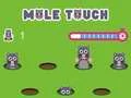 Laro Pole Touch online