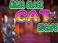 Laro Ninja Black Cat Escape online