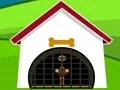 Laro Ostrich Rescue online