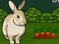 Laro Rescue The Grey Rabbit online
