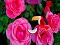 Laro Precious Rose Escape online