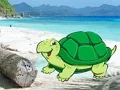 Laro Beach Crab Pair Escape online