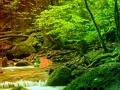 Laro Peaceful Rainbow Forest Escape online