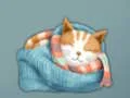 Laro Adorable Escape Find Cute Kitten online