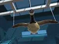 Laro Goose Museum online