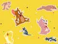 Laro The Tom and Jerry Show Find it! online
