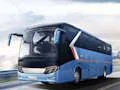 Laro Bus Simulator Driving 3D online
