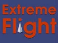 Laro Extreme Flight online