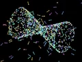 Laro Galaxy Particles Calm online