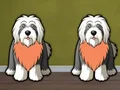 Laro Find Dog Bailey online