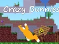 Laro Crazy Bunnies online