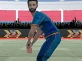 Laro Cricket Powerplay online