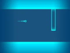 Laro Neon Flight online