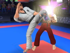 Laro Karate Fighter online