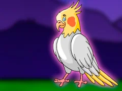Laro Release the Cockatiel Bird from Cage online