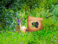Laro Return To Alsunga Forest online