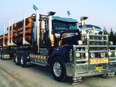 Laro American City Truck Transporting online
