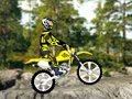 Laro Trial Bike 2 online