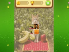 Laro Farm Cat Memory Match online