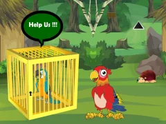 Laro Release Trapped Macaw Buddy online